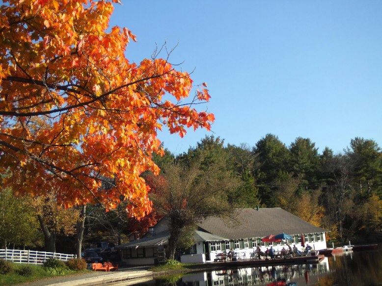 Fall leaves at Lyons Lake